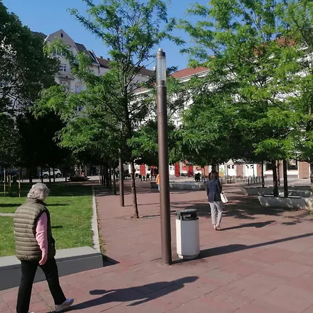 Stradivari * Budapeşte